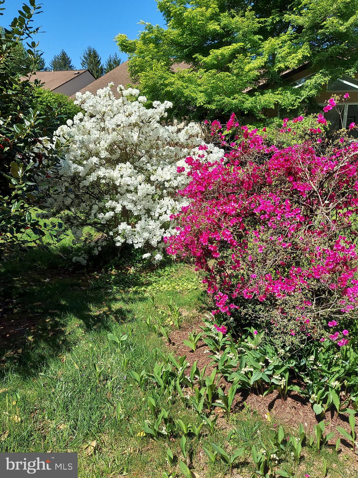 LAKE MEADE - Residential