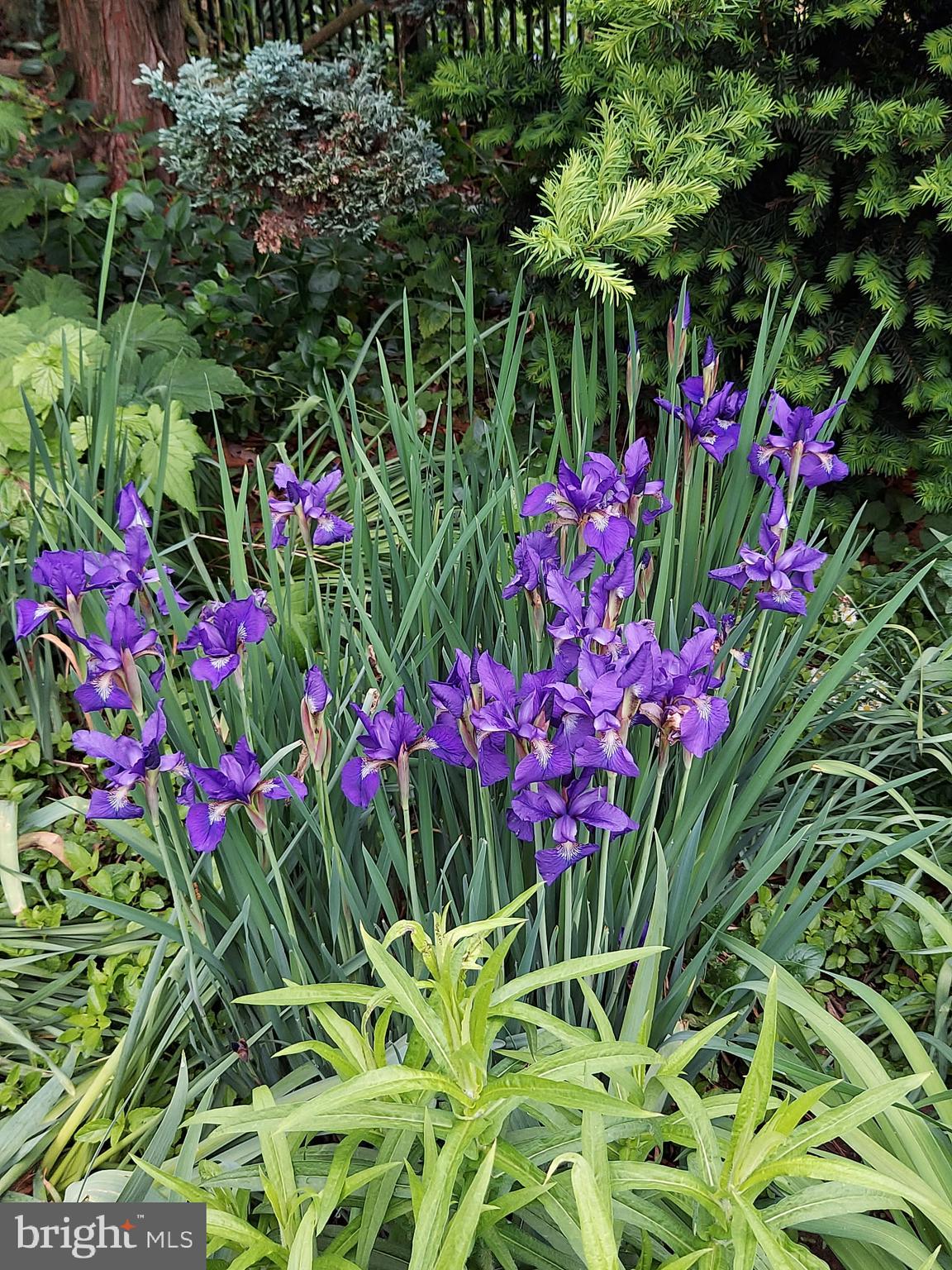 LAKE MEADE - Residential