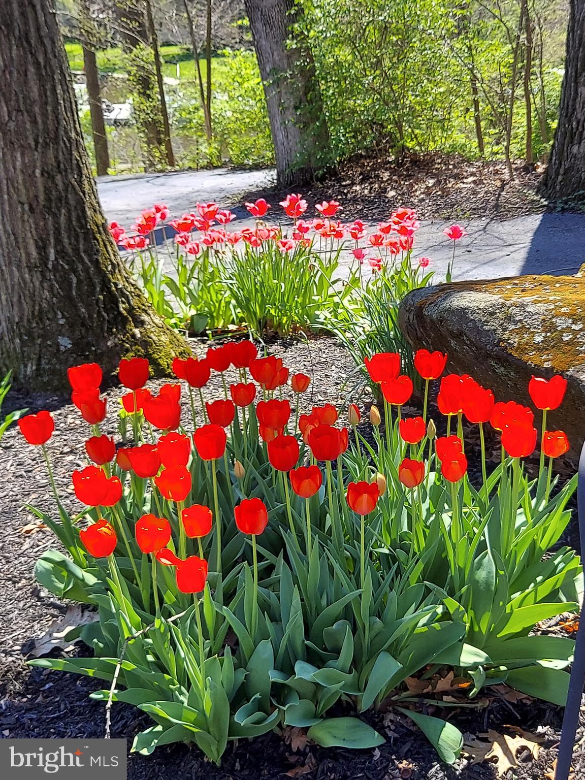 LAKE MEADE - Residential