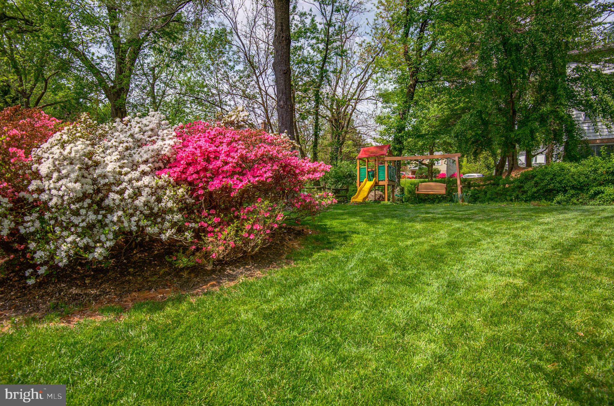 BEULAH TERRACE - Residential