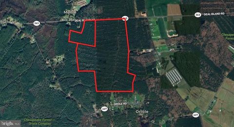 Vacant Land For Sale - Deal Island Road<br/> Somerset County, PRINCESS ANNE, MD 21853