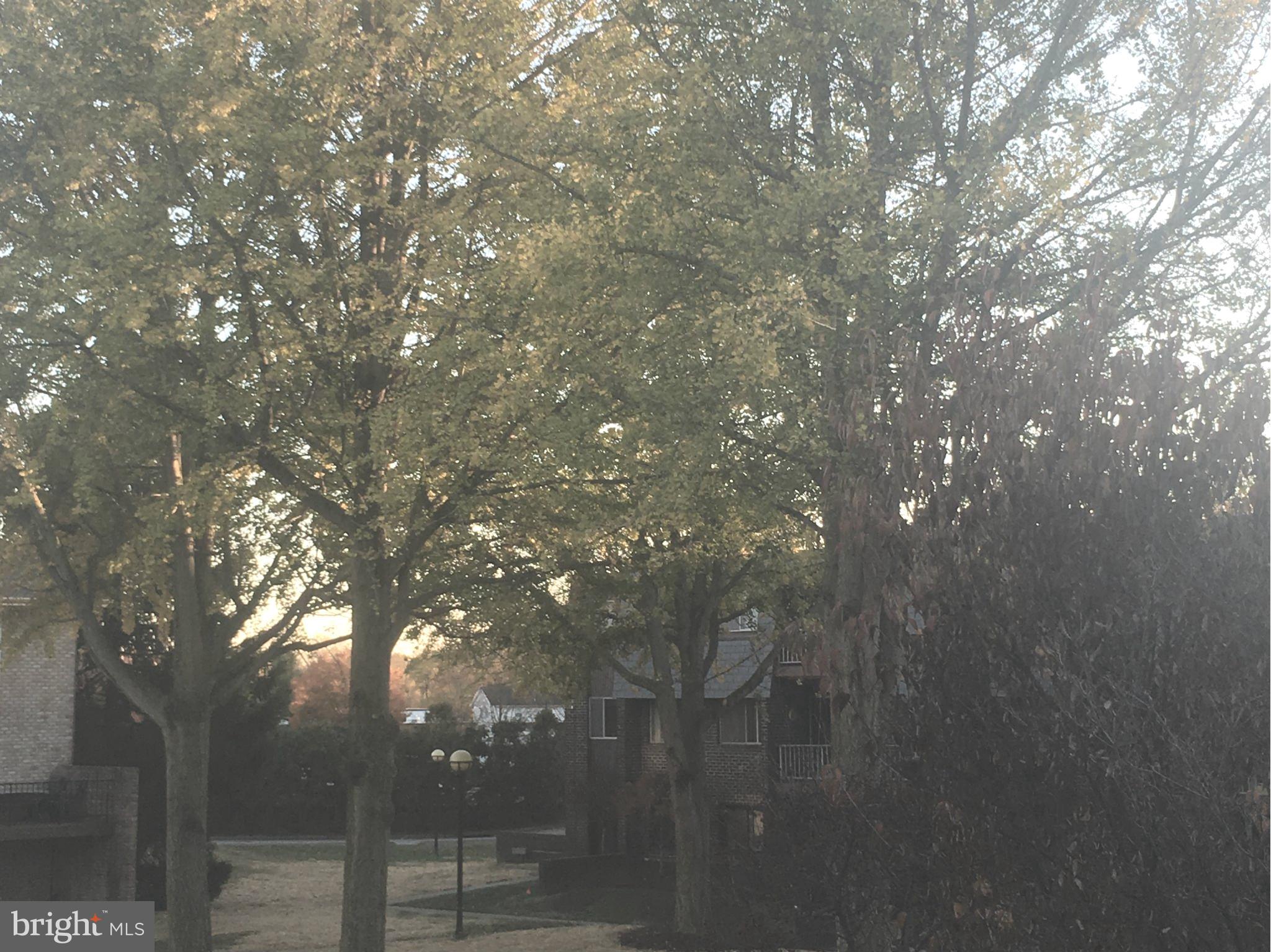 STEVENSON VILLAGE - Residential