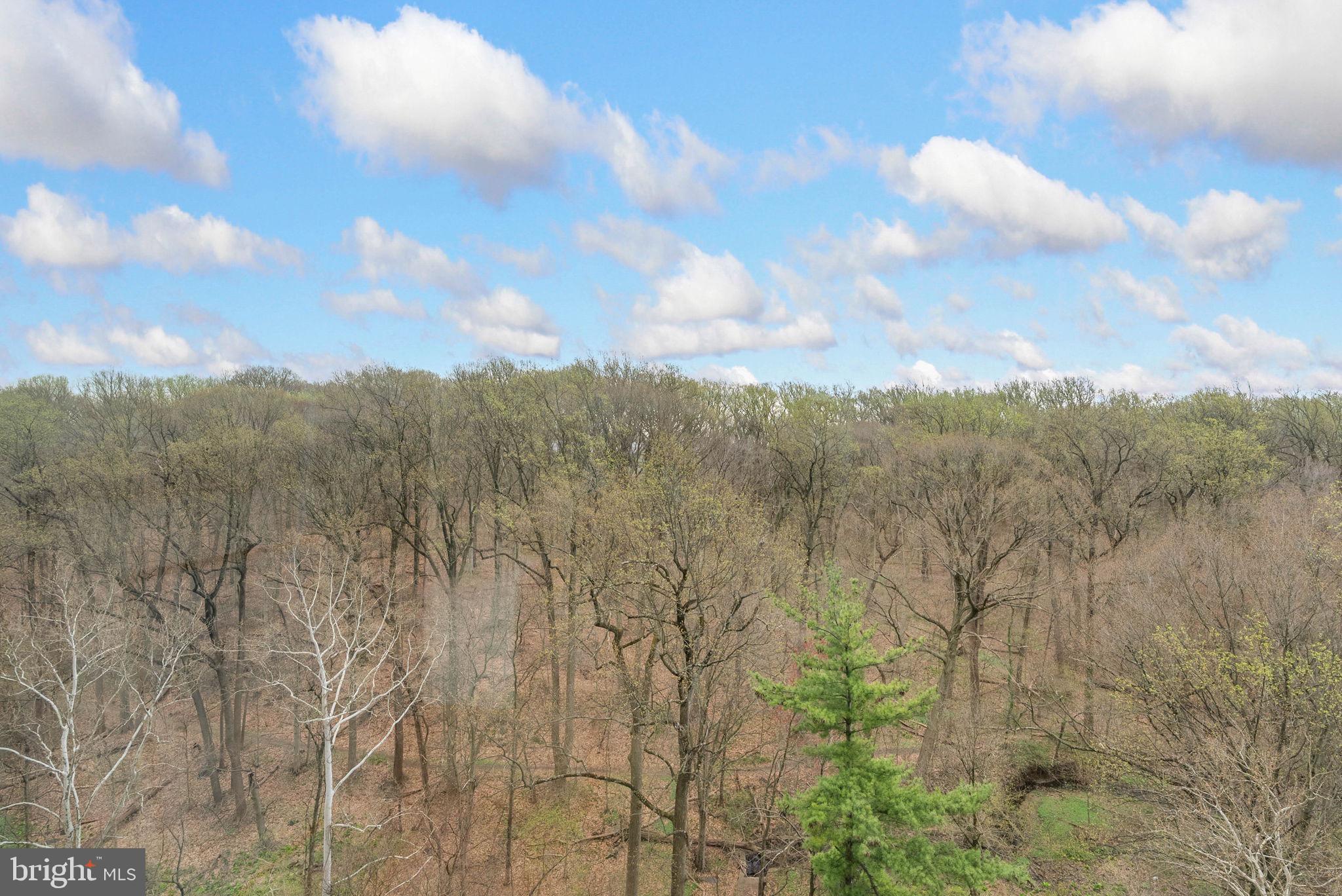 WYNNEFIELD HEIGHTS - Residential