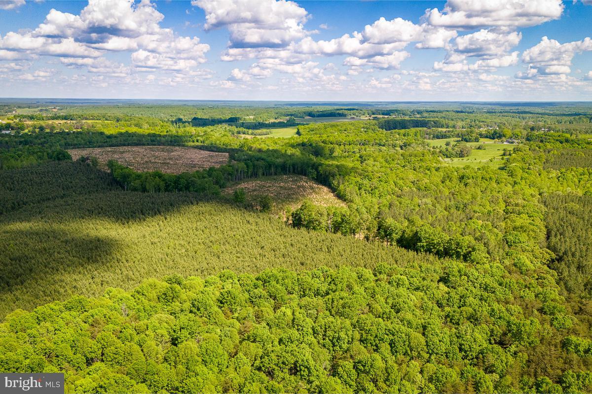 BUCKINGHAM COUNTY - Land