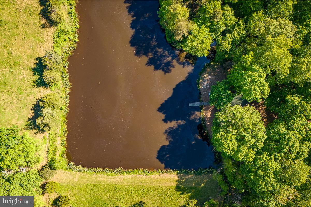 BUCKINGHAM COUNTY - Land