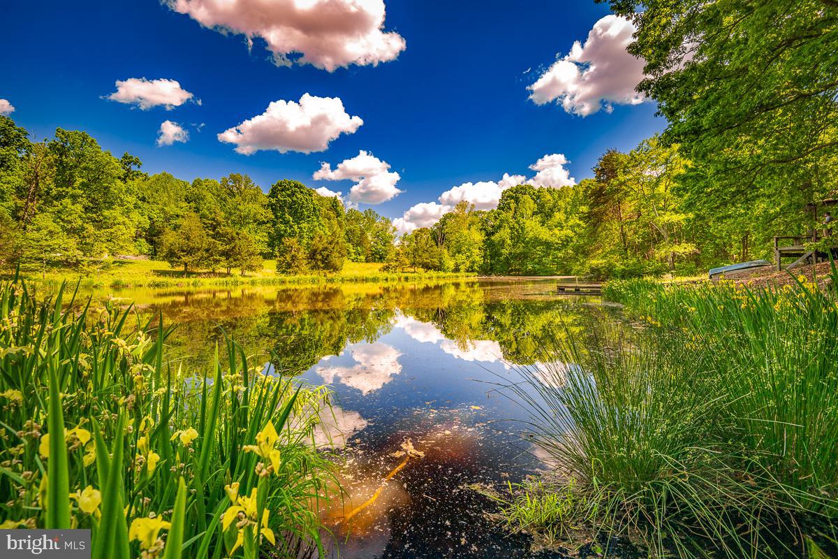 BUCKINGHAM COUNTY - Land