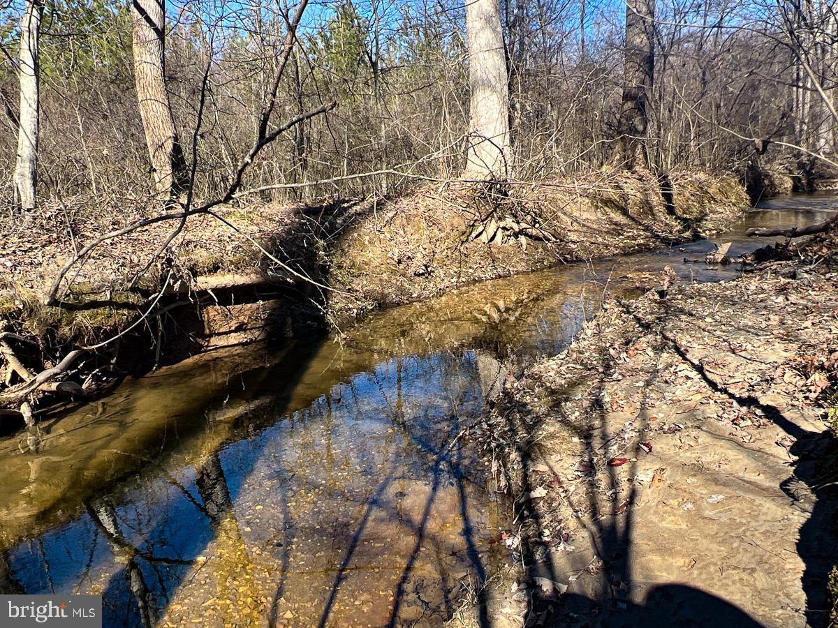 BUCKINGHAM COUNTY - Land