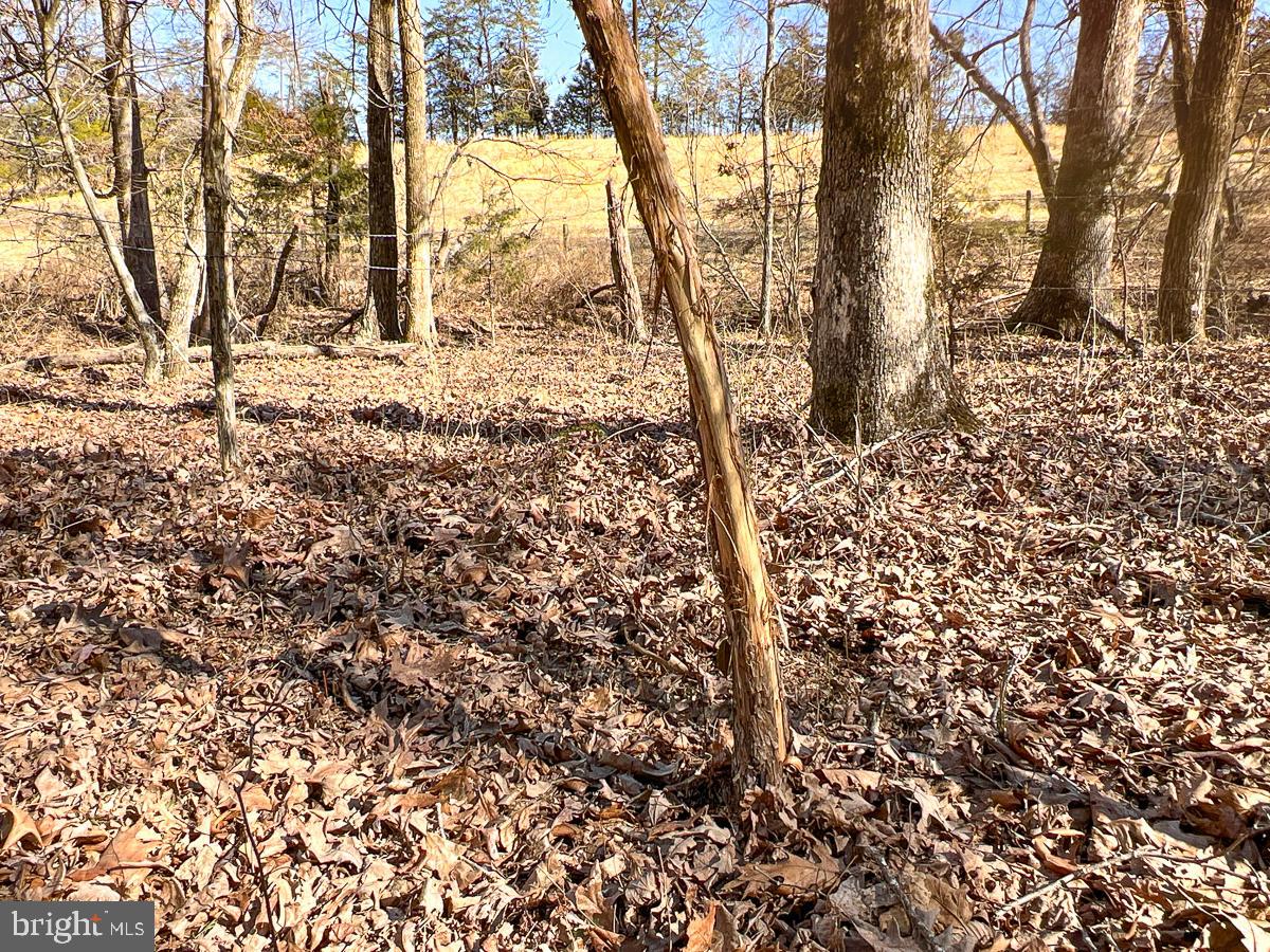 BUCKINGHAM COUNTY - Land