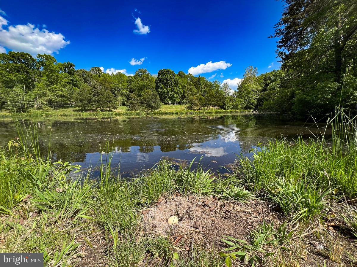 BUCKINGHAM COUNTY - Land