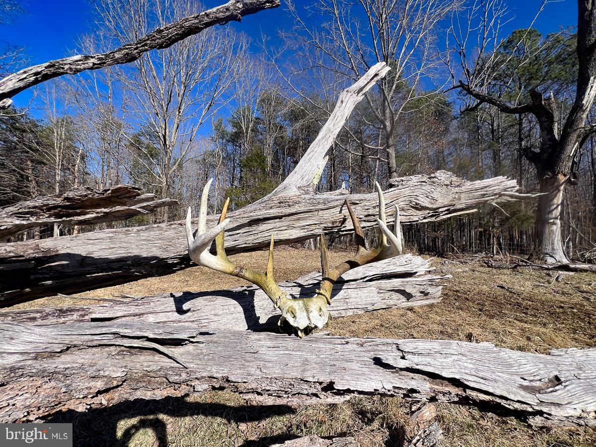 BUCKINGHAM COUNTY - Land