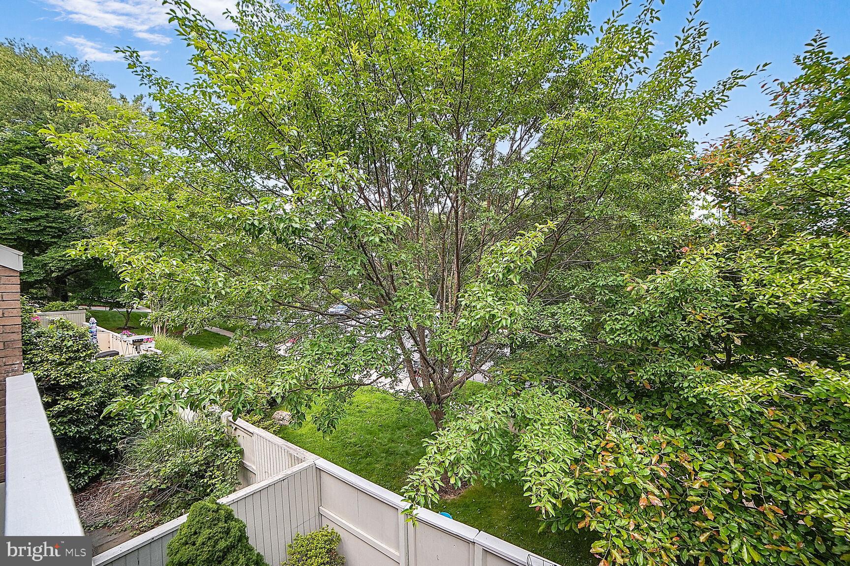 POOKS HILL - Residential