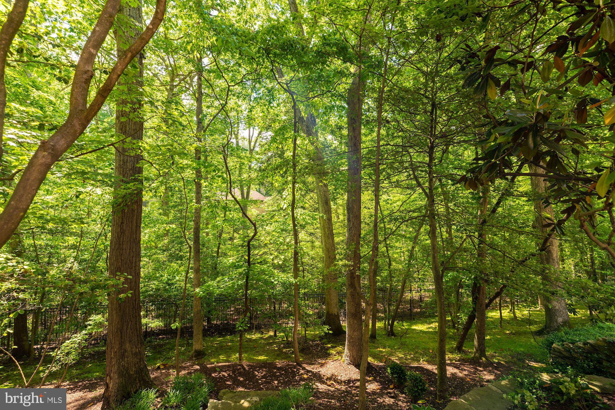 WOODLEA MILL - Residential