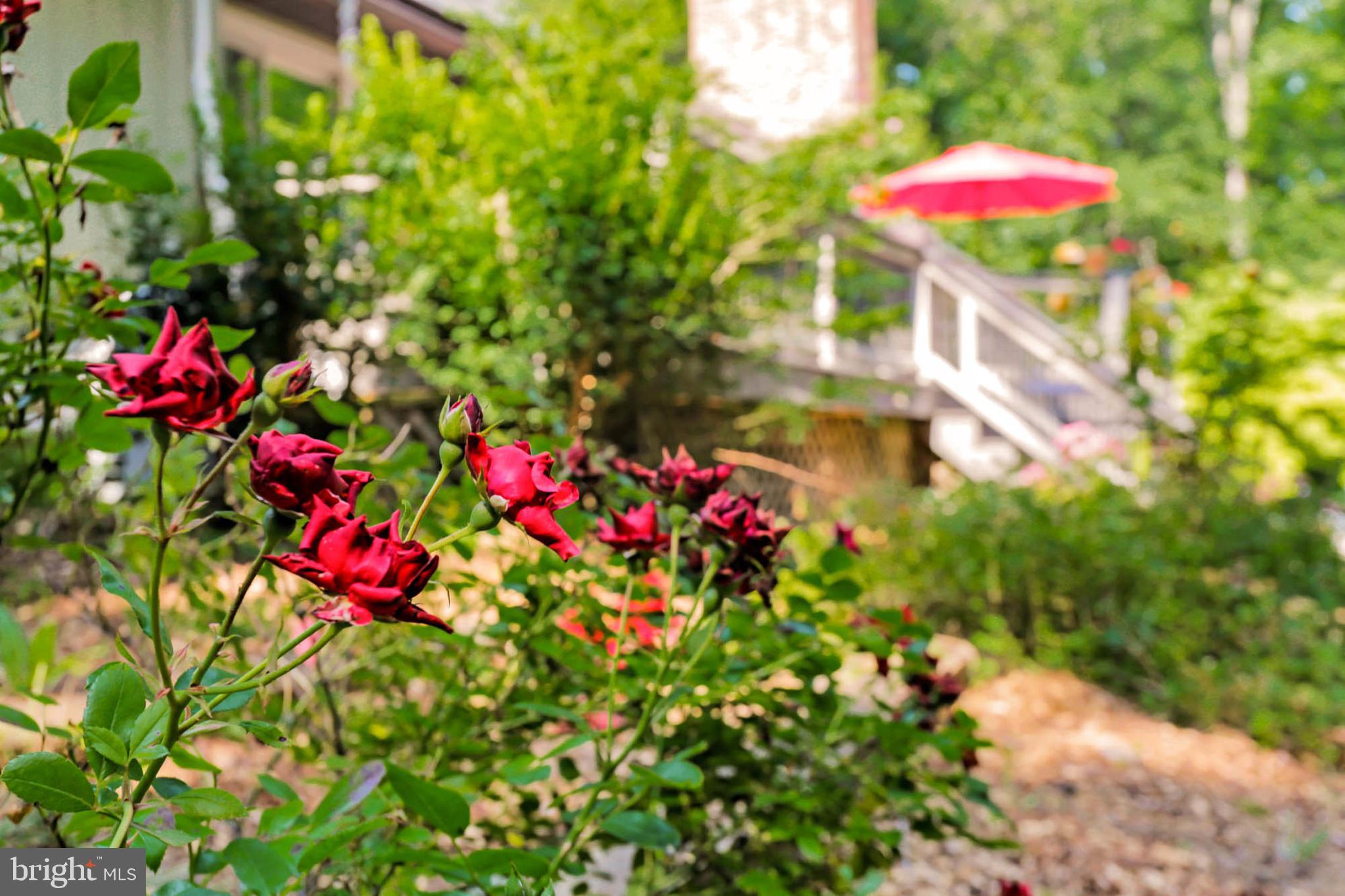 HIGHLAND - Residential