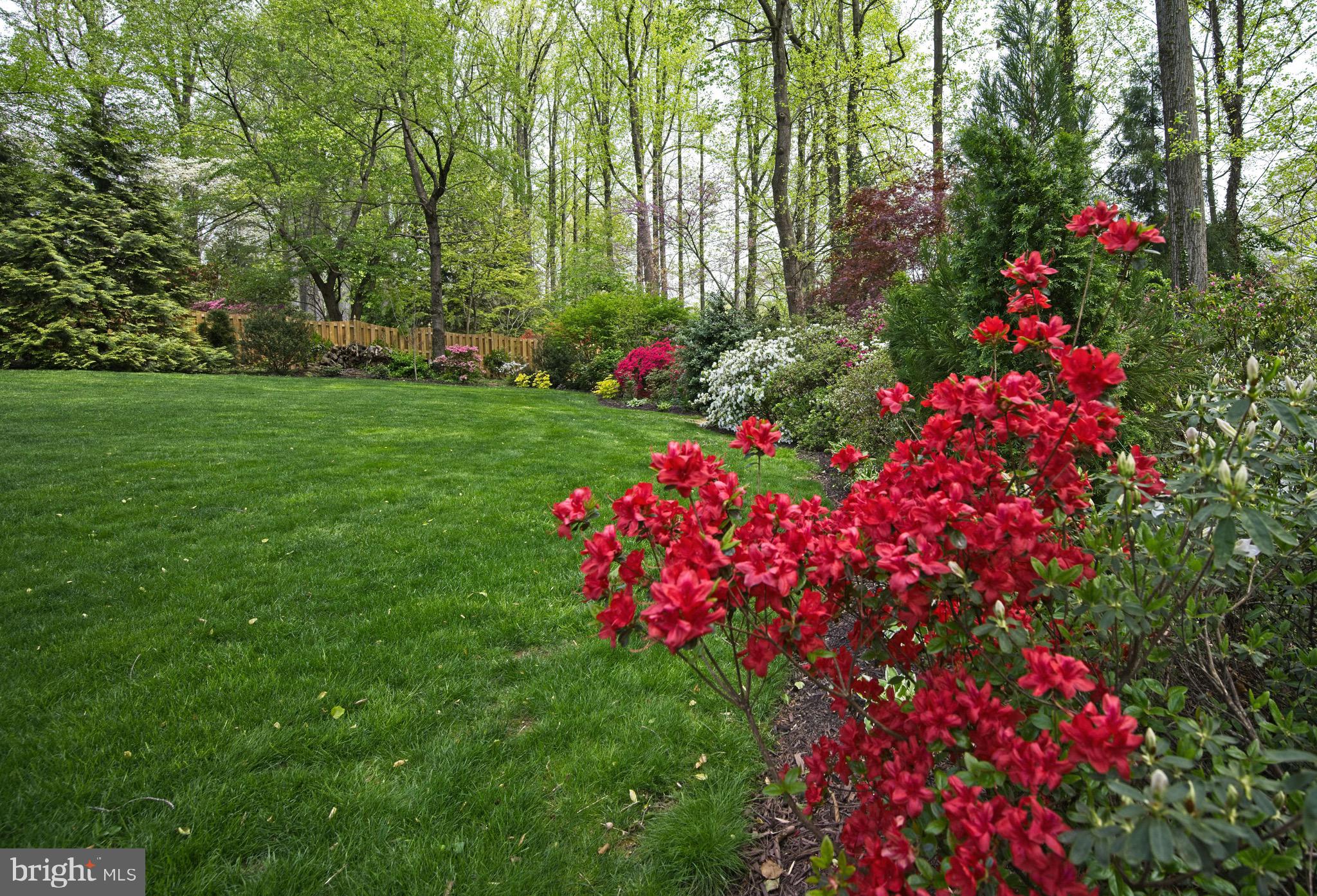 POTOMAC HILLS - Residential