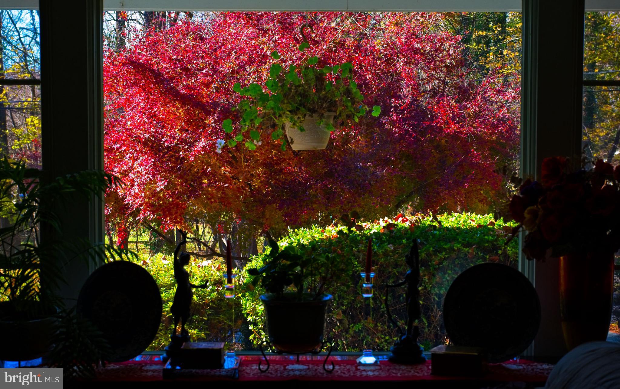 POTOMAC HILLS - Residential