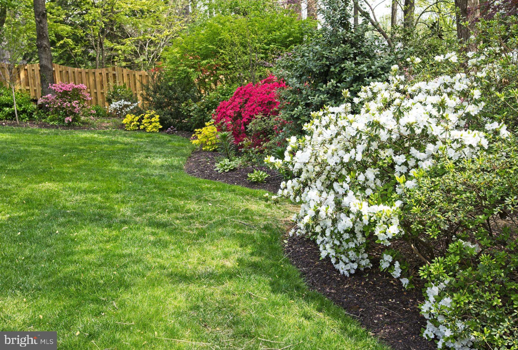 POTOMAC HILLS - Residential