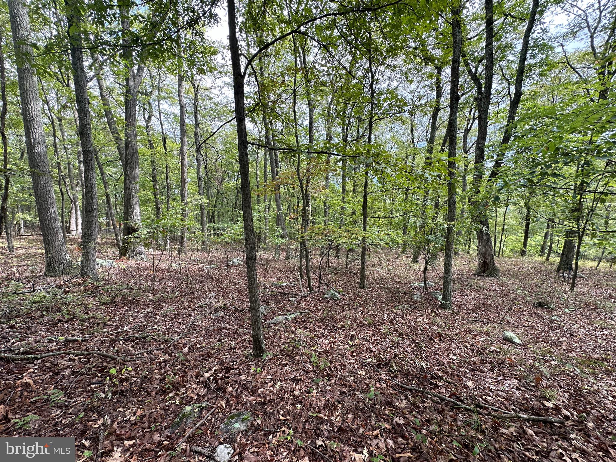 VALLEY HIGH TIMBER FARMS - Land