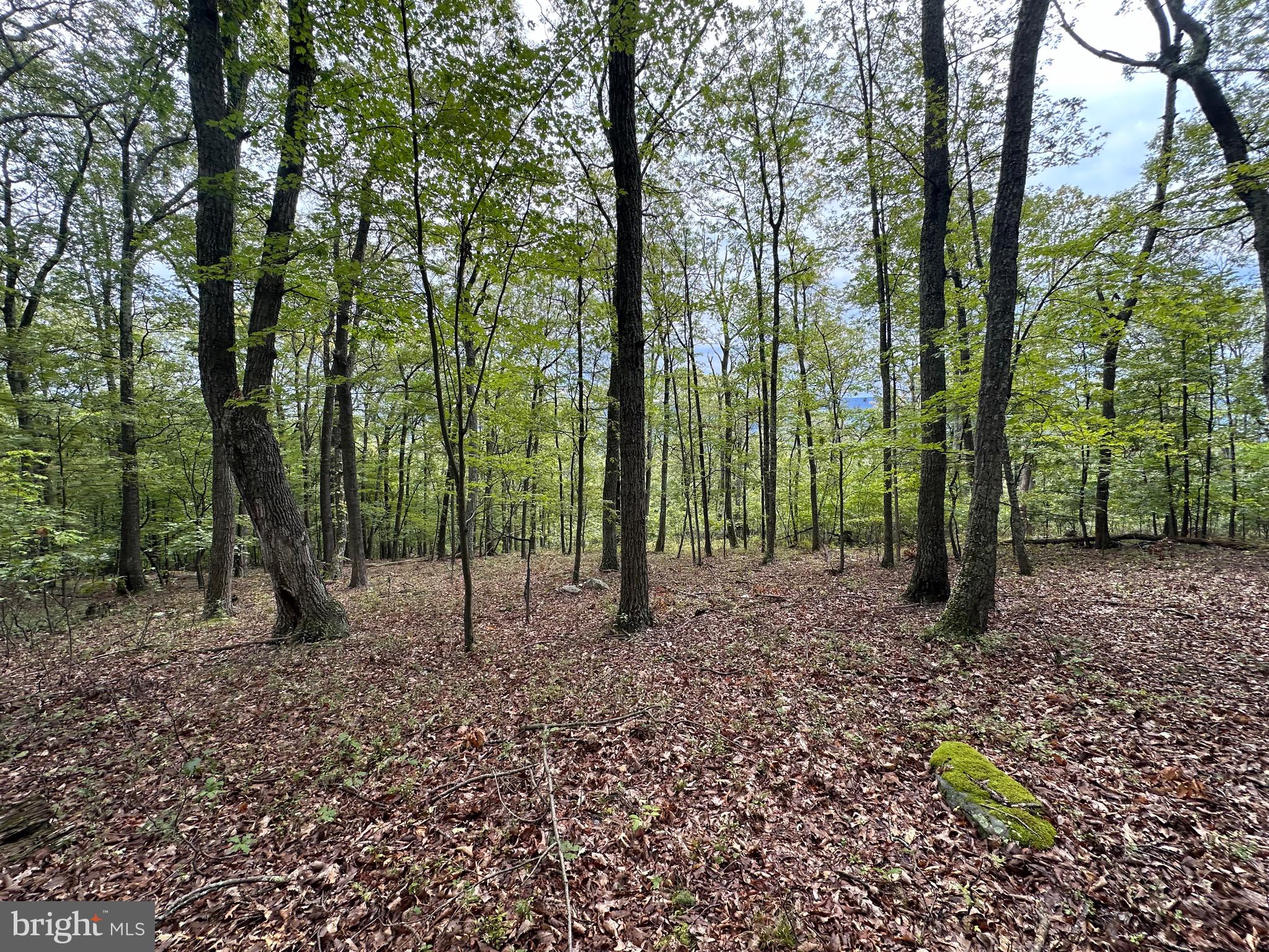 VALLEY HIGH TIMBER FARMS - Land