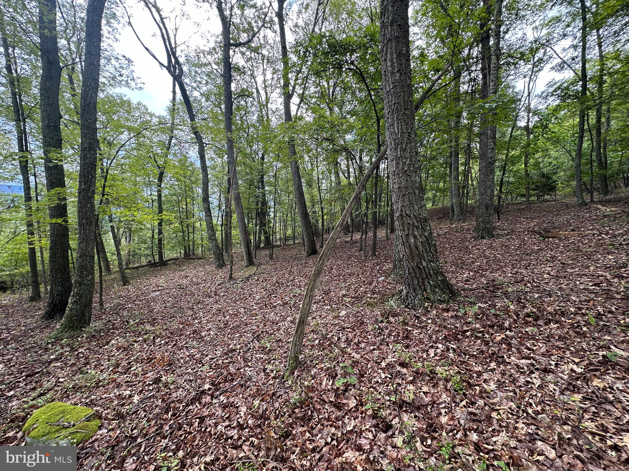 VALLEY HIGH TIMBER FARMS - Land