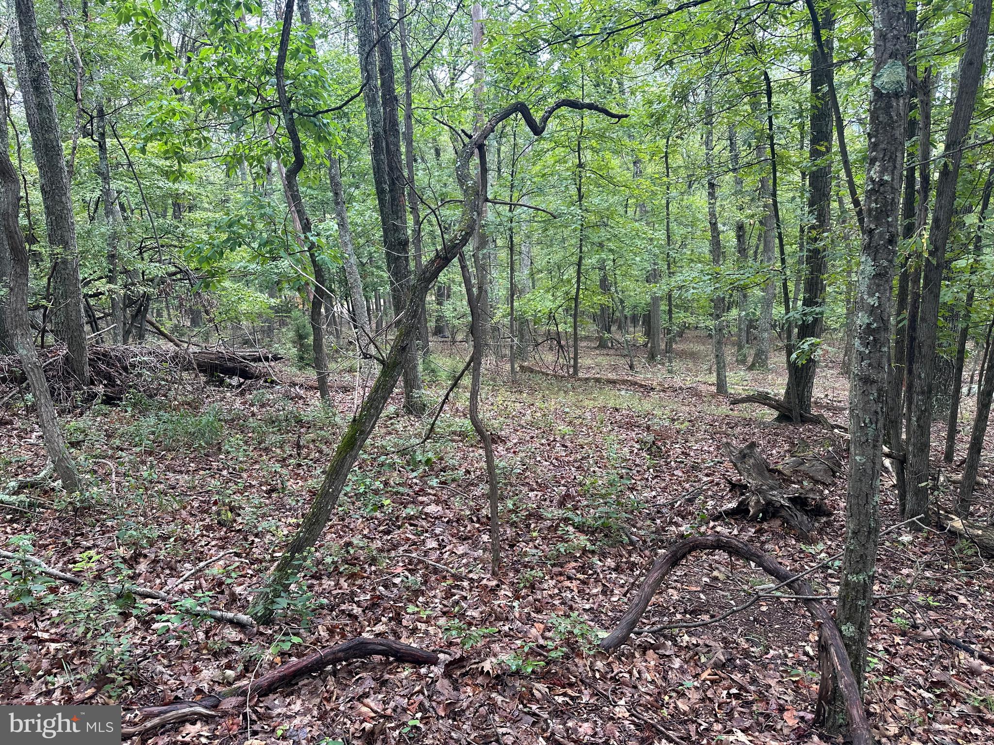 VALLEY HIGH TIMBER FARMS - Land