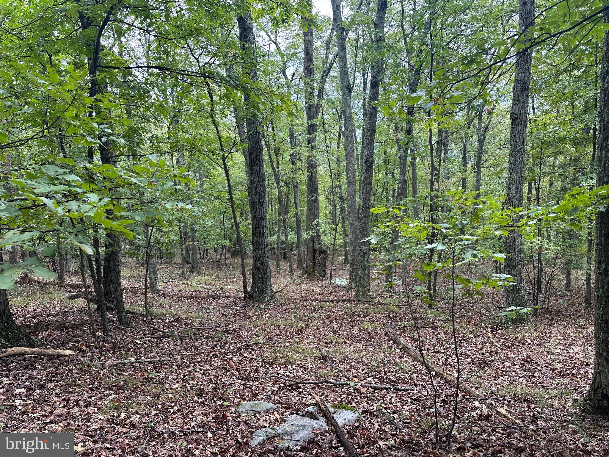 VALLEY HIGH TIMBER FARMS - Land