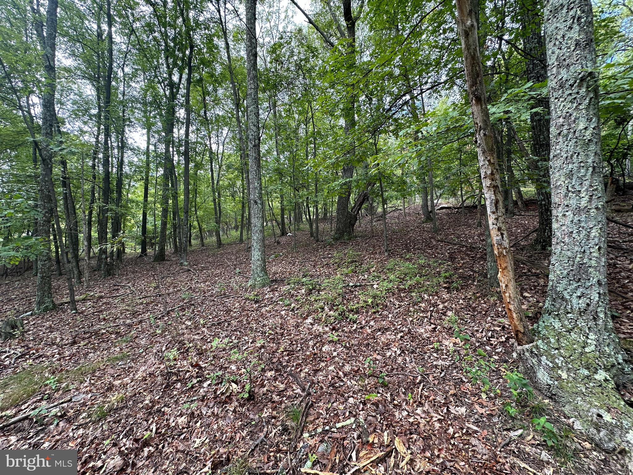 VALLEY HIGH TIMBER FARMS - Land