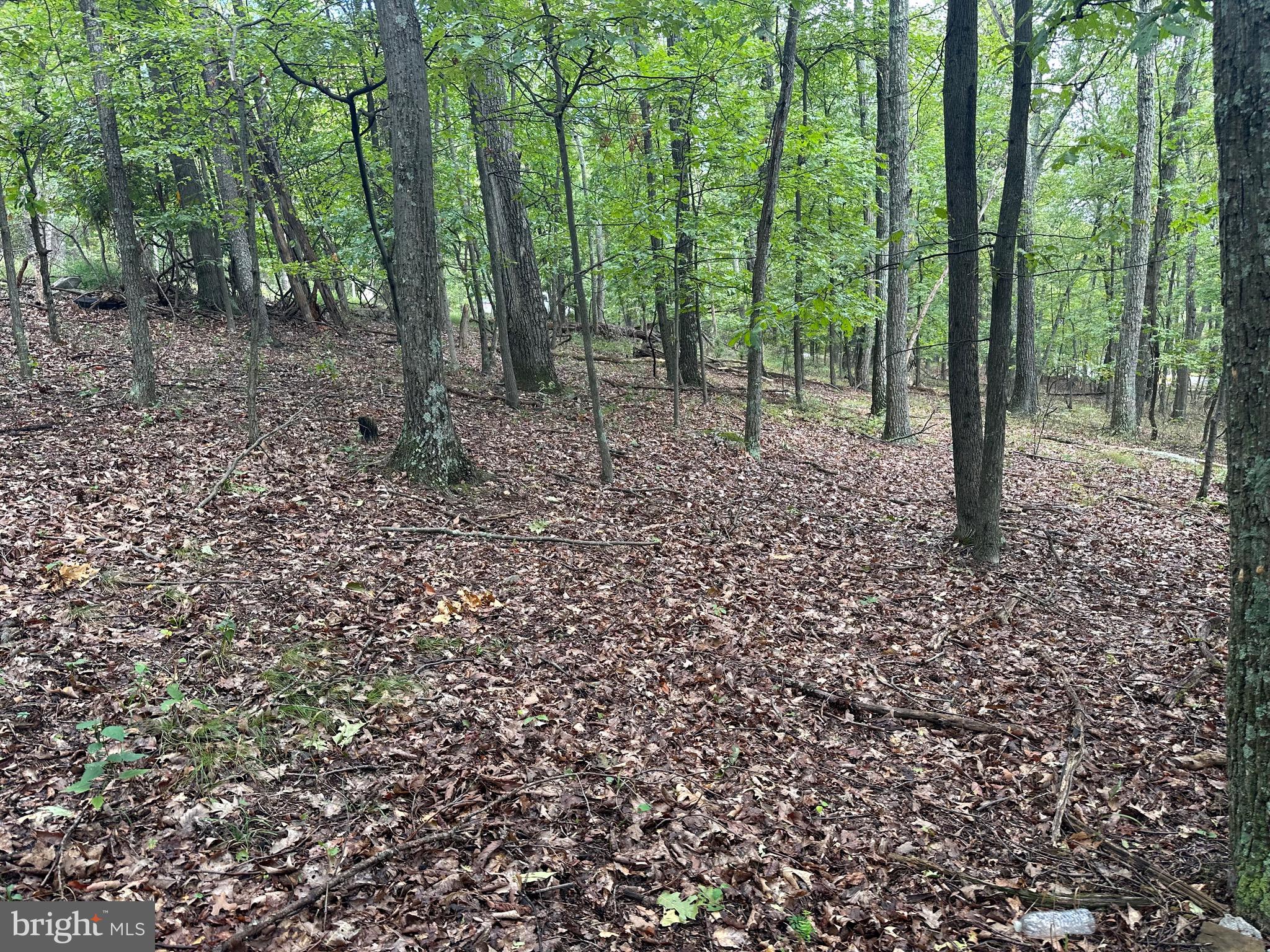 VALLEY HIGH TIMBER FARMS - Land