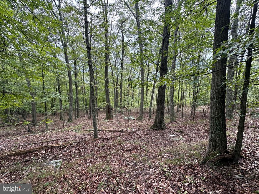 6.62 acres of beautiful WV mountain property! This property offers awesome potential views with removal of some trees. It can be accessed from two separate roads, Marty lane and Detour Road. The best access is off of detour road with paved main road all the way to the property. This lot is gently sloping but still has plenty of room to build your forever home or investment property. Come take a look today!