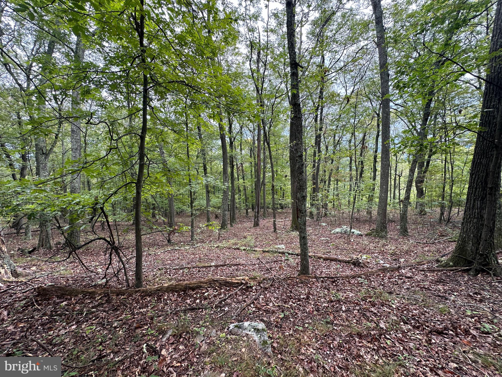 VALLEY HIGH TIMBER FARMS - Land