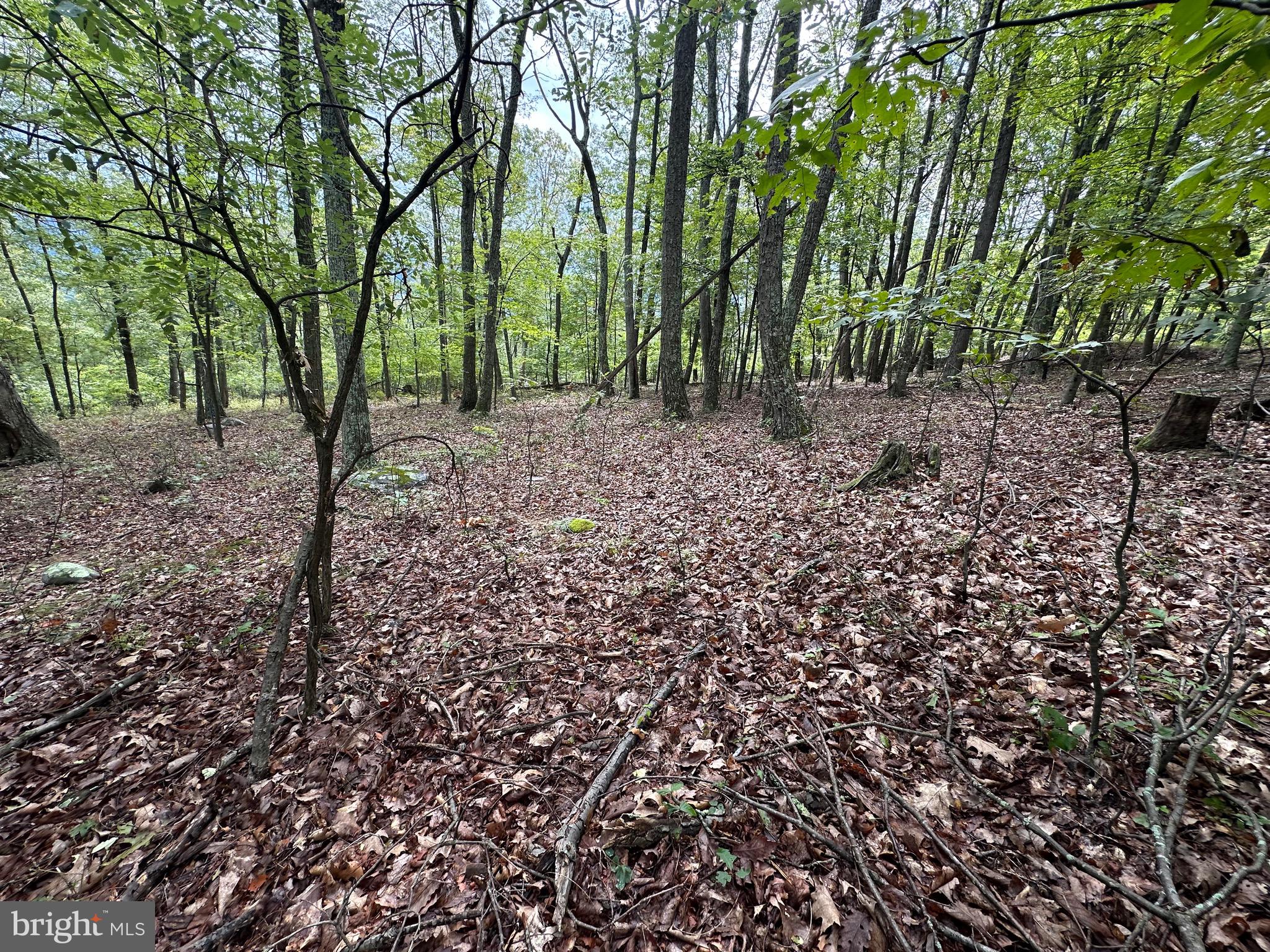 VALLEY HIGH TIMBER FARMS - Land
