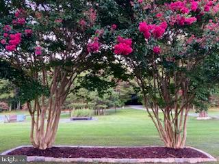 SCHUMACHER SUBD. - Residential