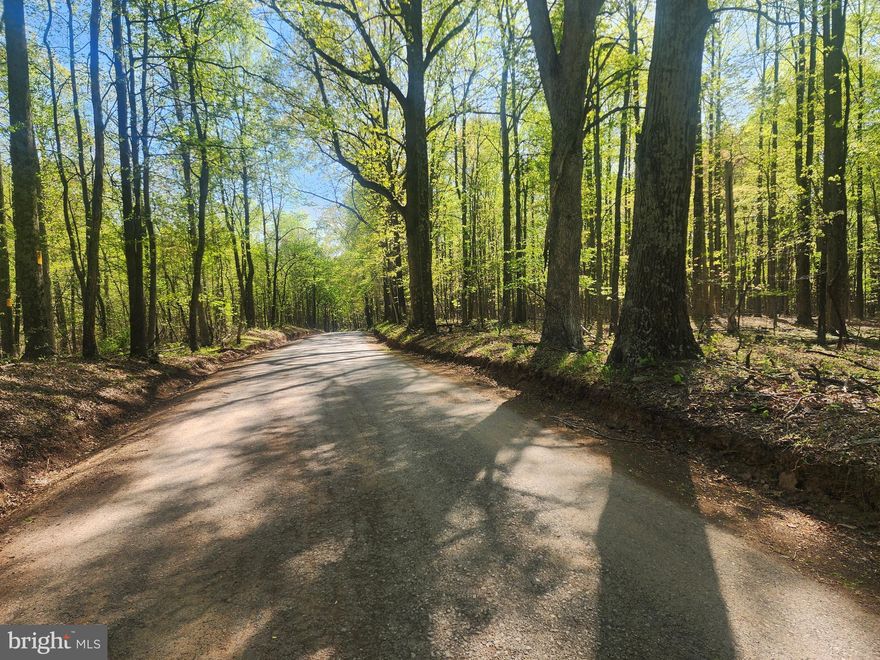 GORGEOUS , LEVEL, 12 ACRE PARCEL WITH TOWERING HARDWOODS, MINIMAL RESTRICTIONS, NO HOA, AND LOCATED ON A STATE MAINTAINED - PAVED ROAD.  SOUNDS PRETTY GOOD - DOESN'T IT?  WELL, THAT'S BECAUSE IT IS!  ACREAGE THIS SIZE IN THIS LOCATION WITH THESE ATTRIBUTES IS HARD TO COME BY.  IF YOU'VE BEEN LOOKING, THEN YOU KNOW.  DON'T MISS YOUR CHANCE TO OWN A PIECE OF MOUNTAIN STATE PARADISE - CHECK IT OUT TODAY!