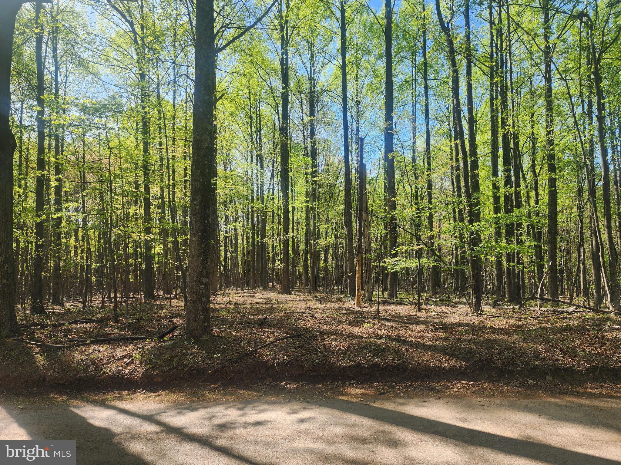 SPRING GAP MOUNTAIN - Land