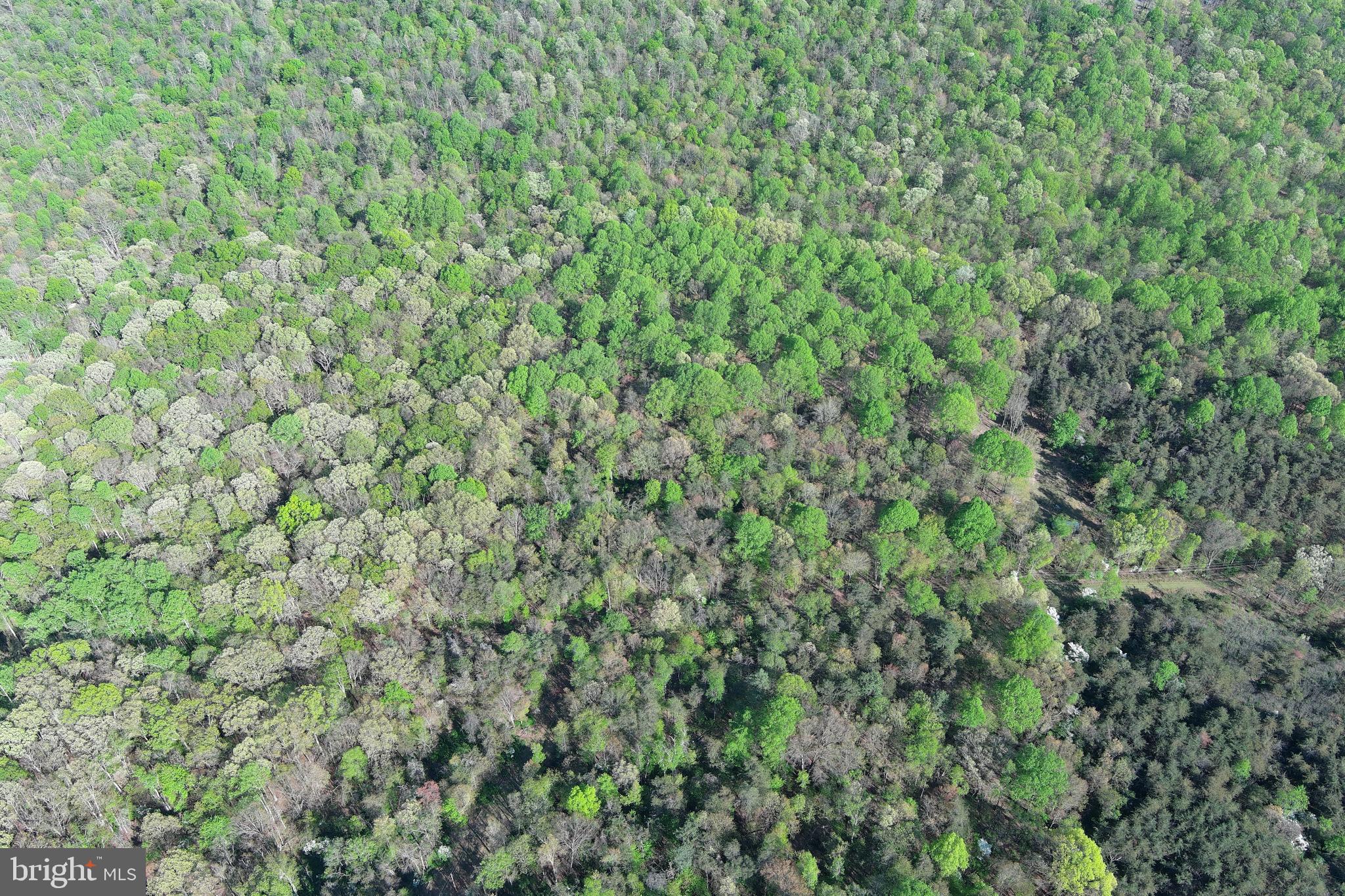 SPRING GAP MOUNTAIN - Land