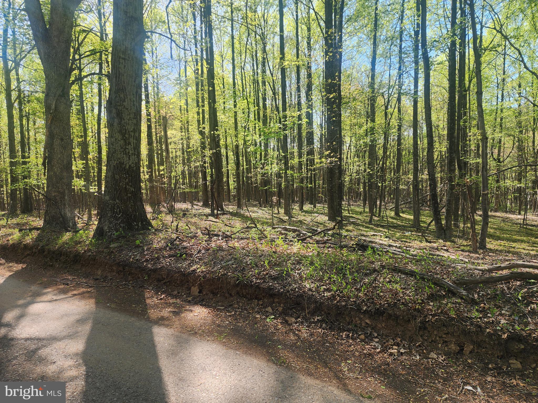 SPRING GAP MOUNTAIN - Land