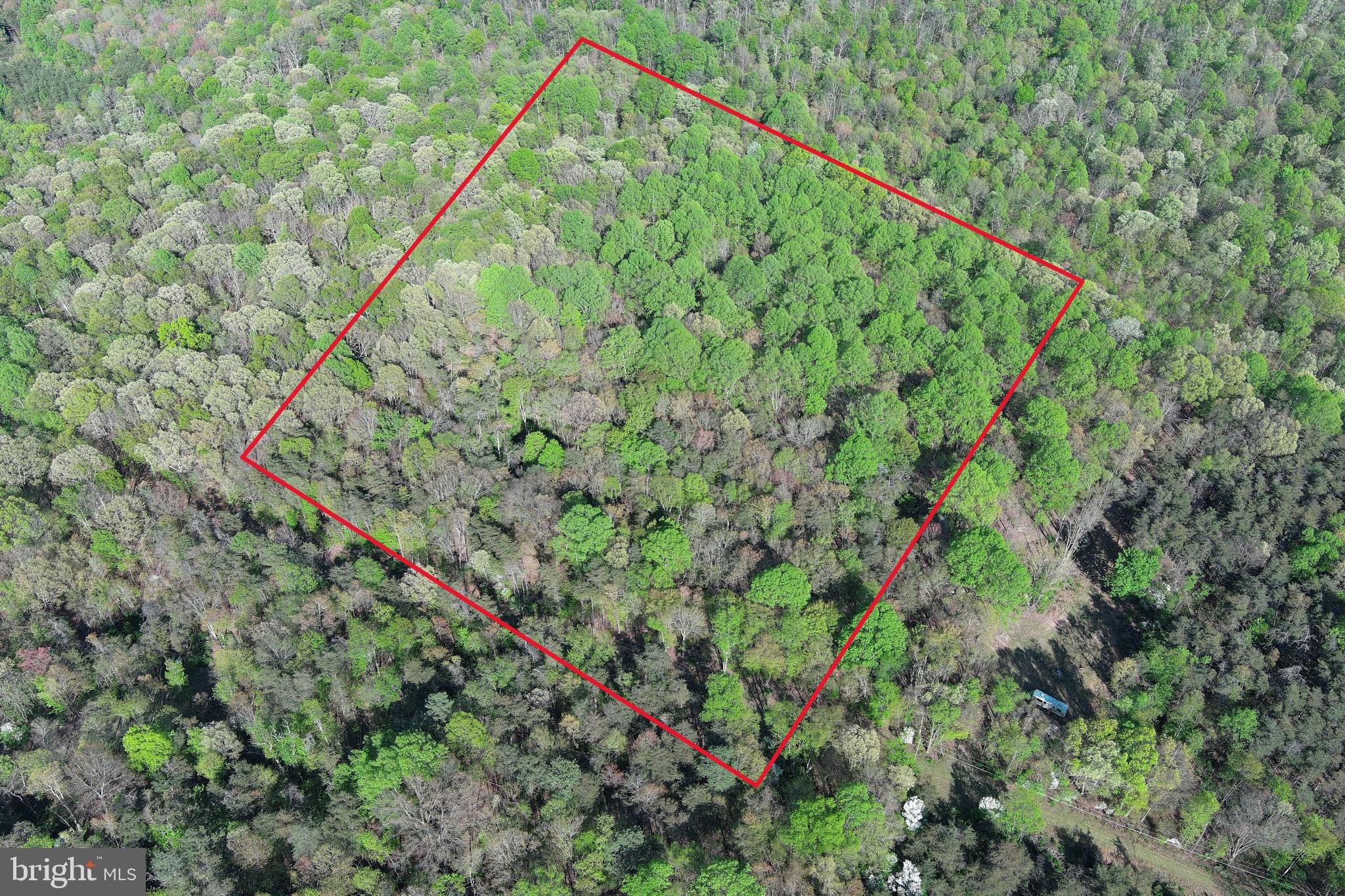 SPRING GAP MOUNTAIN - Land