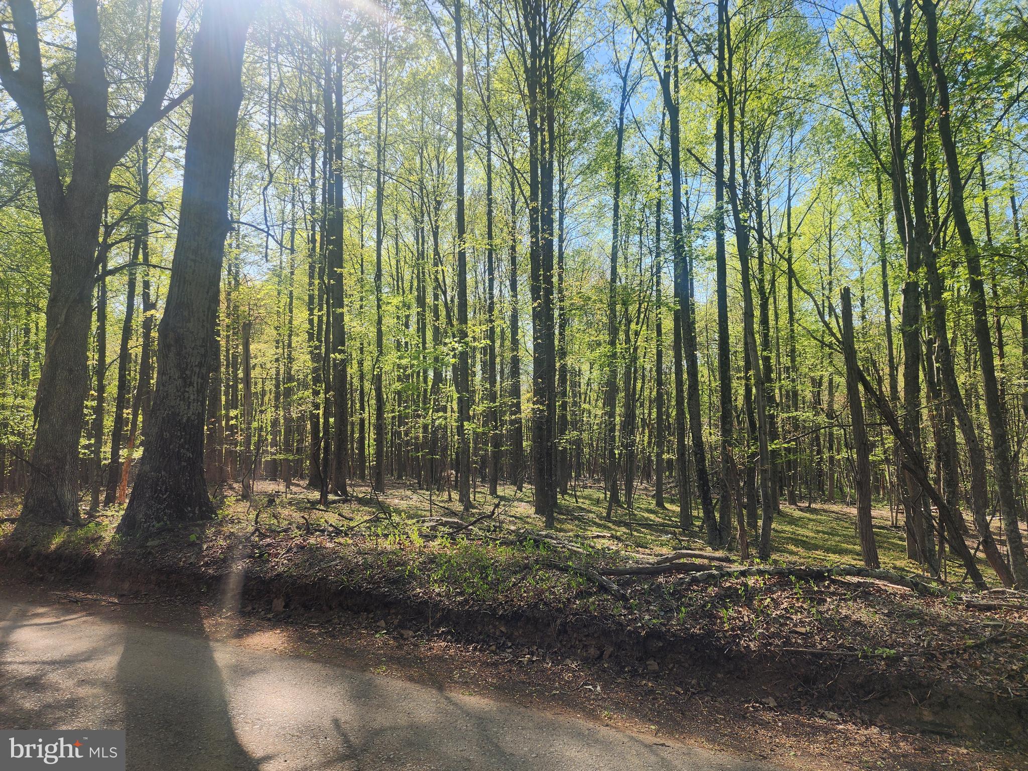 SPRING GAP MOUNTAIN - Land