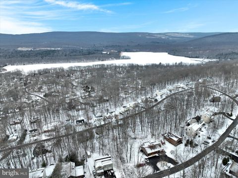 Vacant Land For Sale - 237 Avalanche Lane<br/> Luzerne County, DRUMS, PA 18222