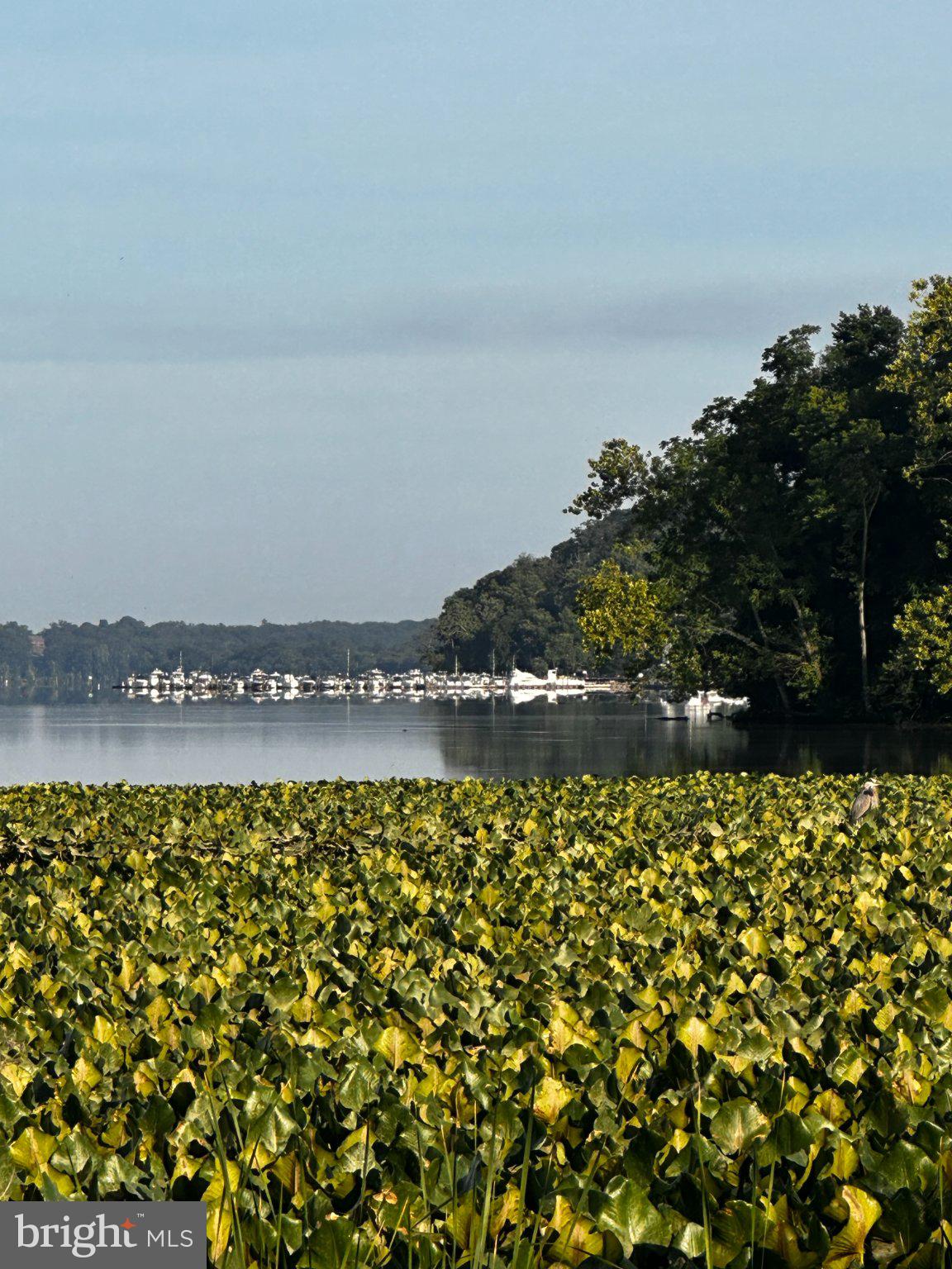 PISCATAWAY HILLS - Residential