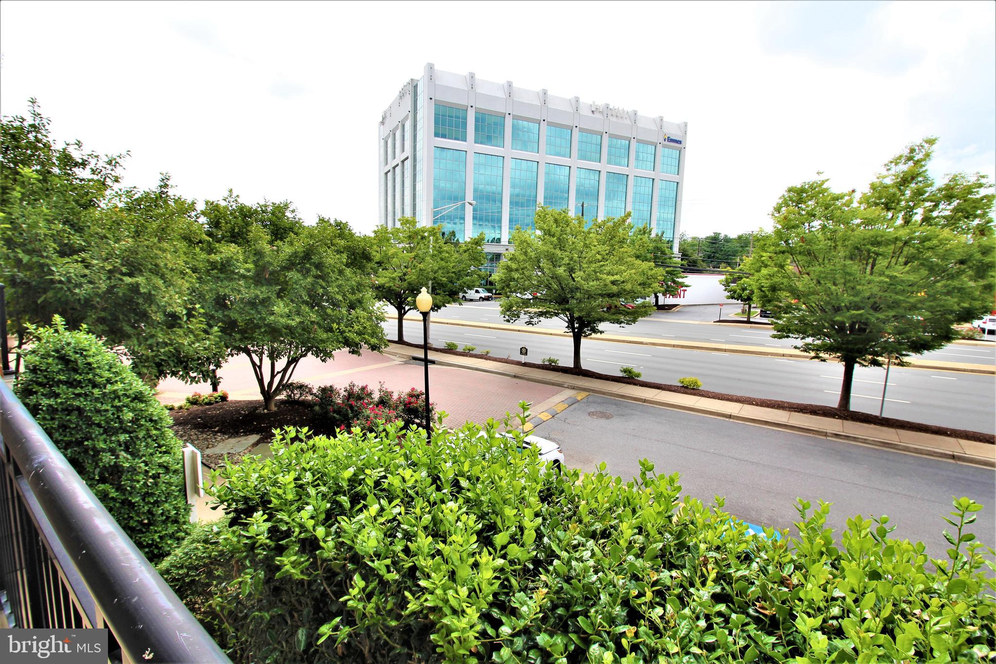 THE FITZ - Residential