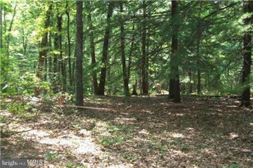 New Price!!! Come build your dream home on this 6.92 acres. Level, wooded, corner lot in quiet Parks Hollow Subdivision. Power already on property. Conveniently located just 35 minutes from Winchester Medical Center.