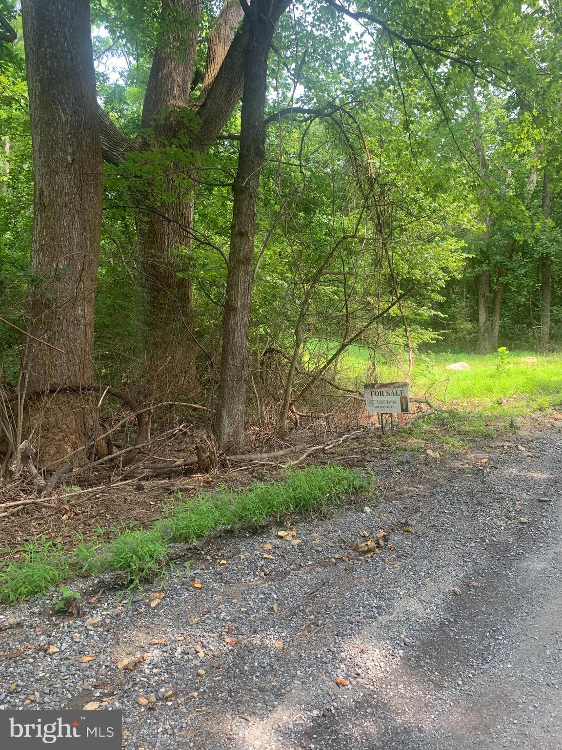 smith run road SMITH RUN ROAD