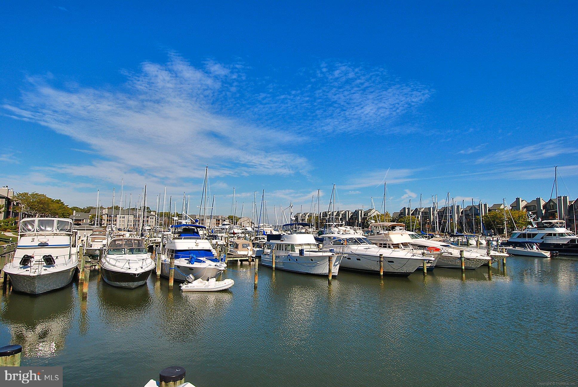 CHESAPEAKE HARBOUR - Residential