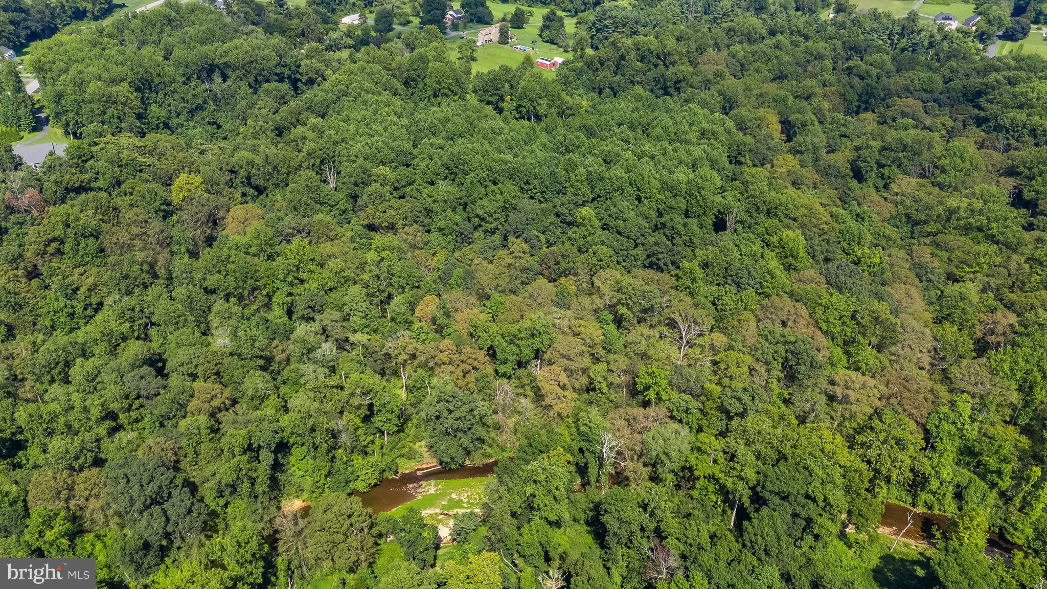 AINSLEY FOREST - Residential