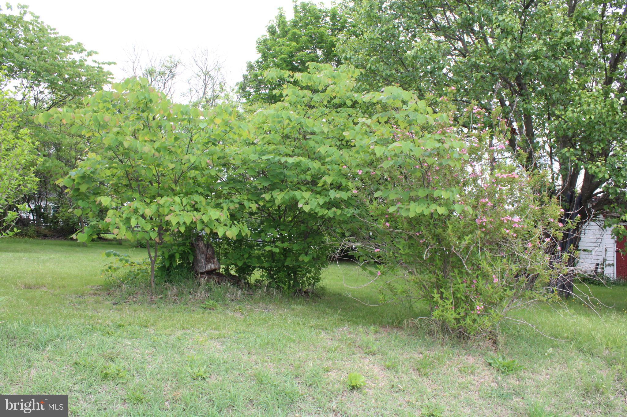 MIDDLETOWN - Residential