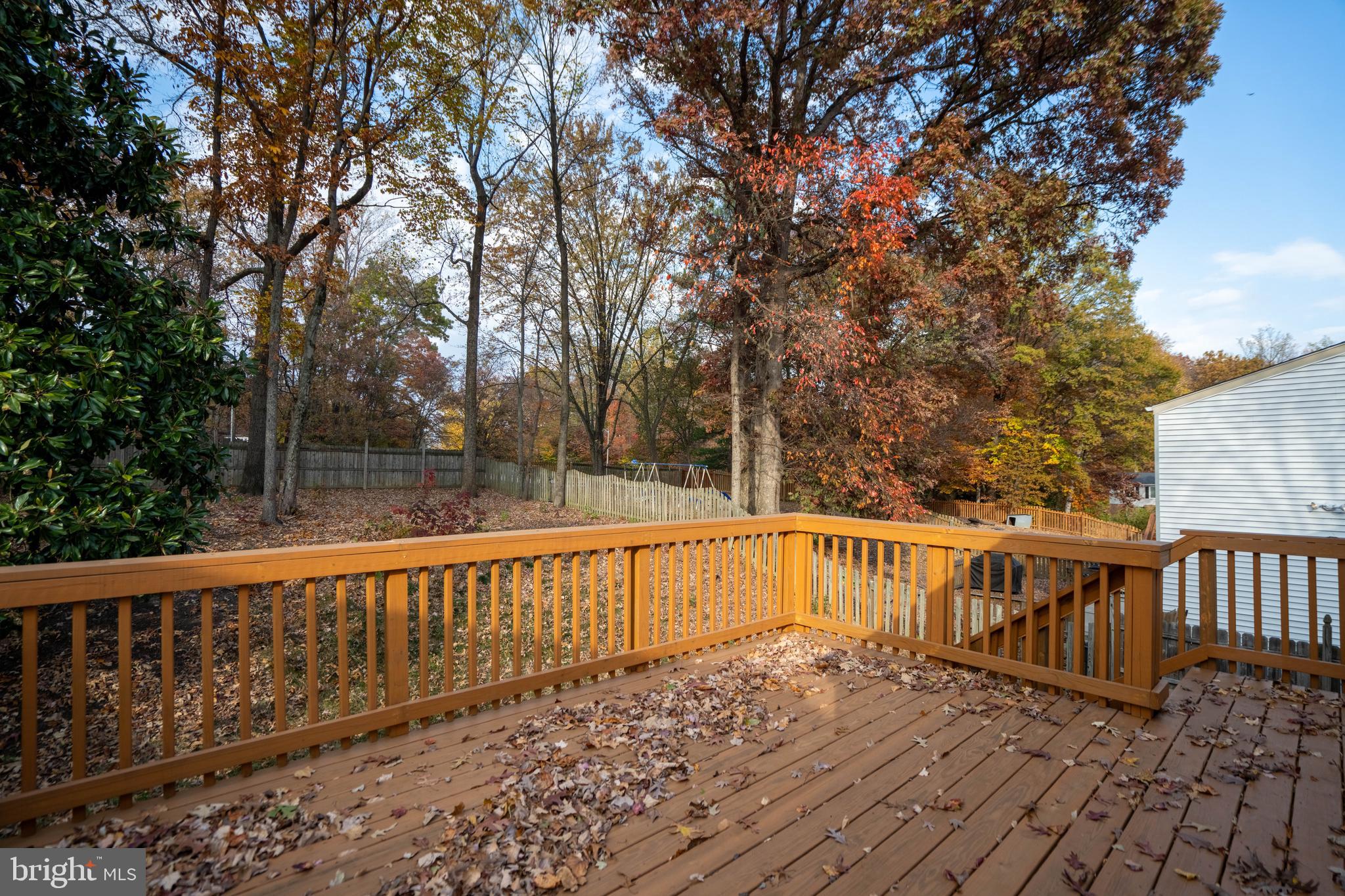 NEWINGTON FOREST - Residential Lease