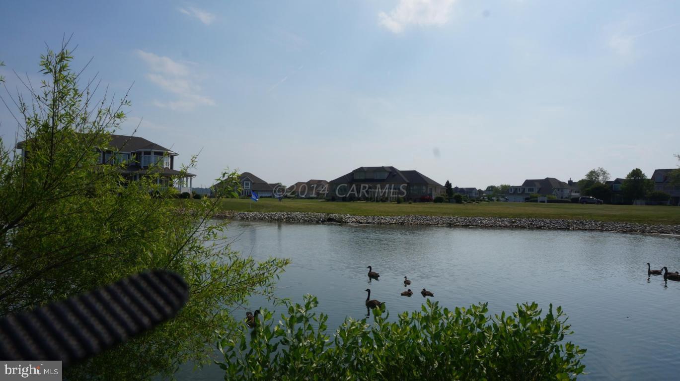 LIGHTHOUSE SOUND - Land