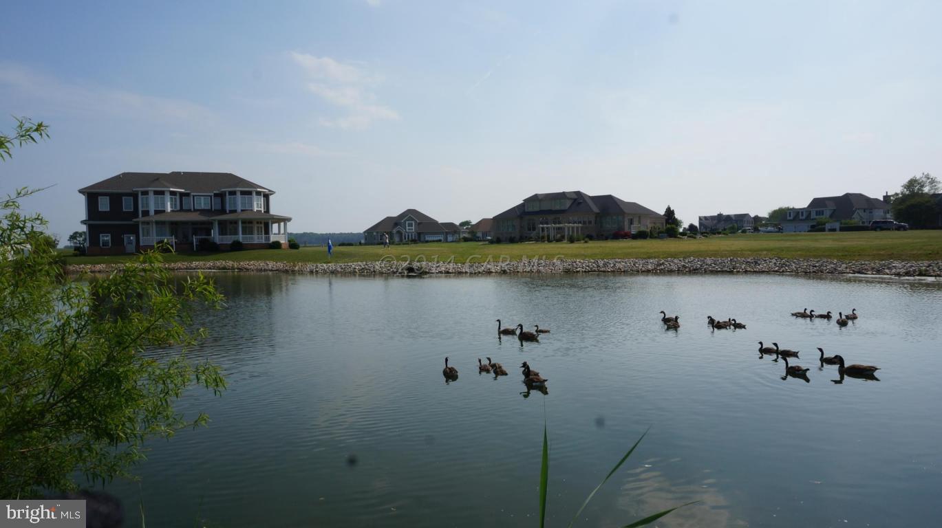 LIGHTHOUSE SOUND - Land