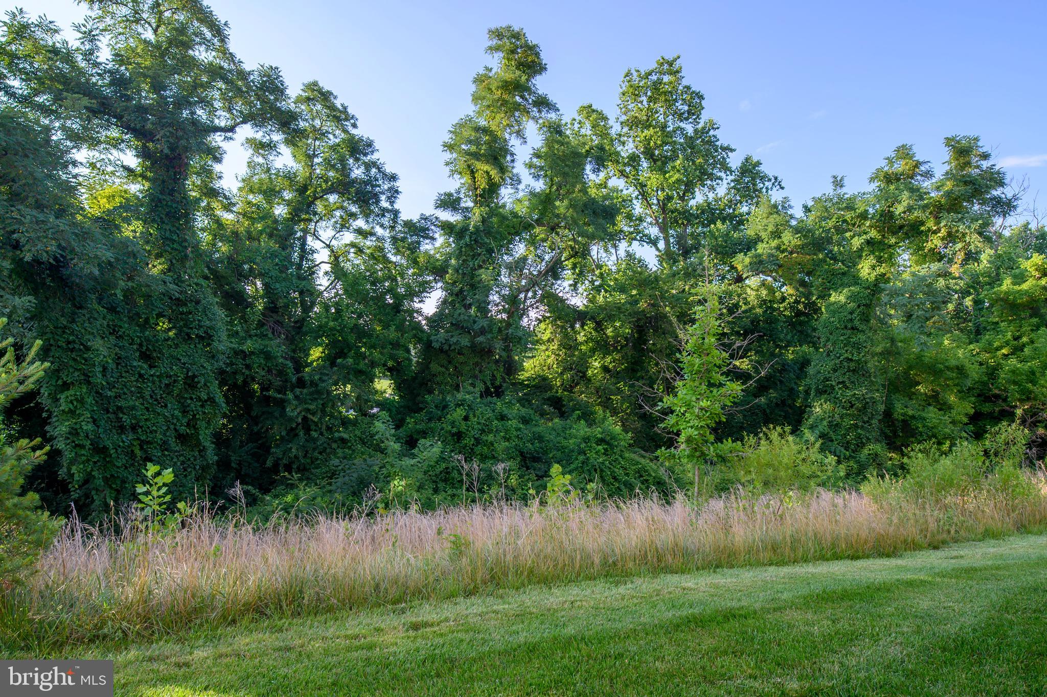 CEDAR HILL - Residential