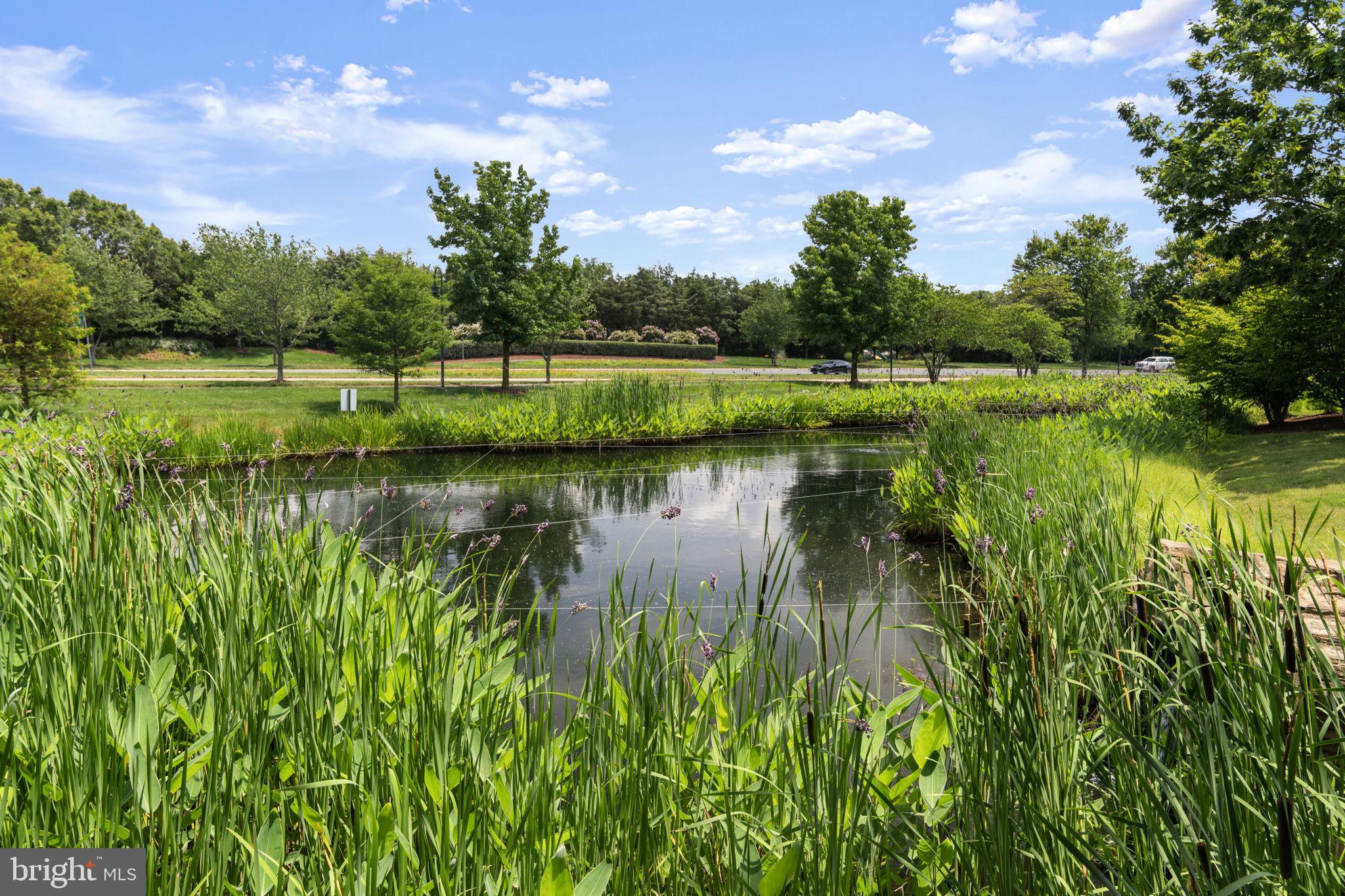 BROADLANDS - Residential